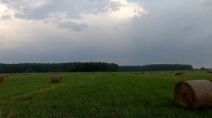 Охота с легавой на дупеля 2021. Дупель в засушливое лето.Часть 2.