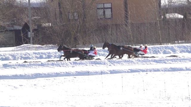 3 Раменский ипподром 27.02.2021 - Лошади старшего возраста рысистых пород смотреть онлайн