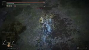 ELDEN RING Виноград Шабрири NG+