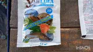 ВНИМАНИЕ слизняки!!! Ваши ягоды голубики могут съесть.