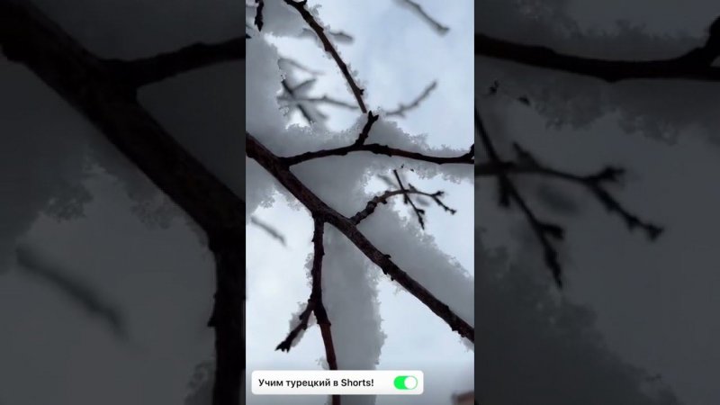 Самые зимние турецкие слова ❄️