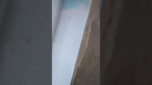 штукатурка Волма