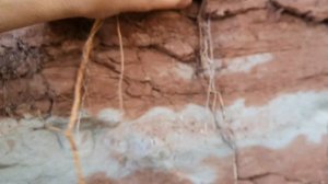 Увлекательное видео на месте добычи Красной-приозёрной глины, где Я дегустирую и хрущу глиной