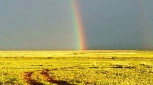 АХ, ТЫ СТЕПЬ ШИРОКАЯ. Квартет "Московская балалайка". Moscow Balalaika QUARTET