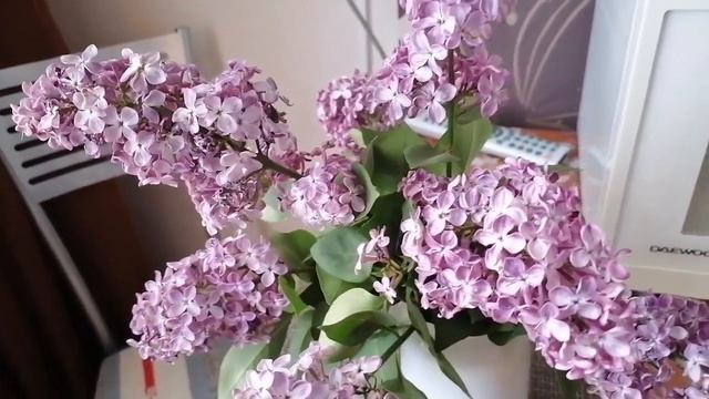 Букет увядшей сирени не торопитесь выбрасывать. ??? смотреть онлайн