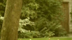 Сколько лет, сколько зим