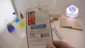 Томат Успех. СеДеК