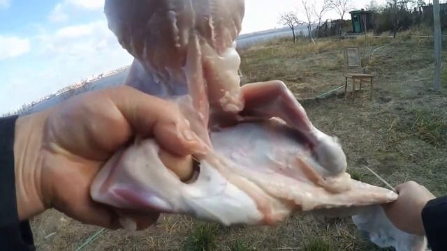 КРОЛИКИ/разделка кролика/свежевание тушки/Rabbit смотреть онлайн