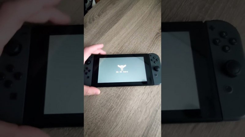 Как включить Nintendo switch с чипом Picofly без Sd карты