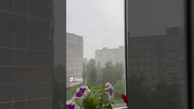 Вот дождь и до нас докатился!!!⛈️🌧️💯🇷🇺🌲🕊️