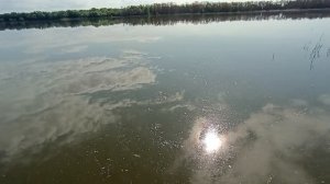 Выпуск 4. Снова в деле. Рыбалка на Дону в Волгоградской области.