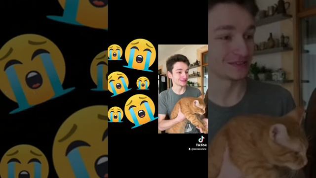 тик ток. Симба старший😪😪😪 смотреть онлайн