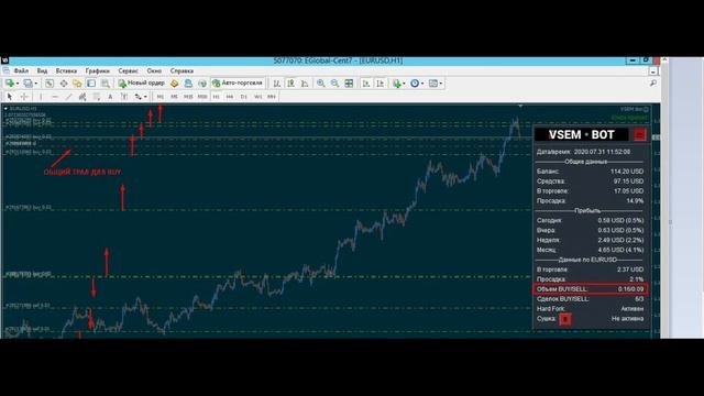 VSEM Bot (ВСЕМ Бот) - Обзор Торгового Робота от Разработчика