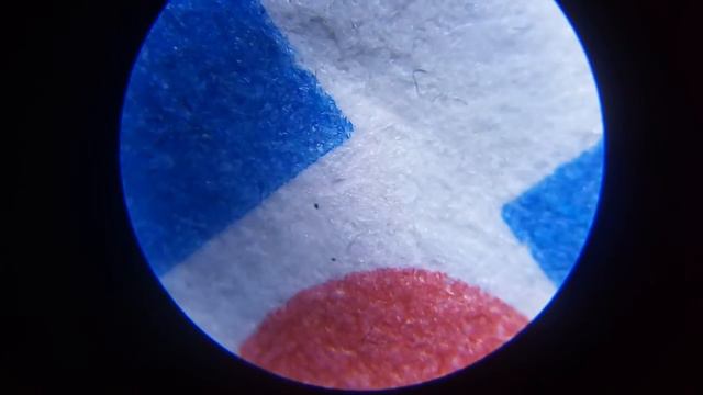 Микроскоп смотреть онлайн