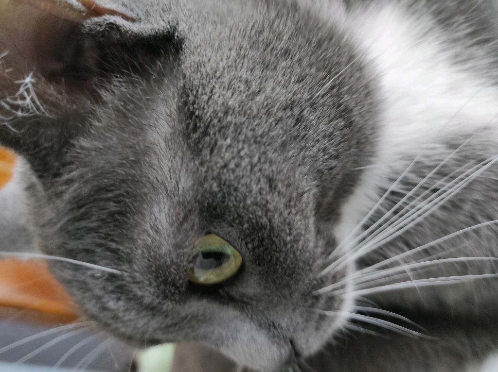 заходите будет весело смотреть онлайн