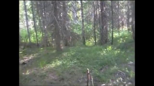 Счатливые люди.Июнь. Красновишерск.
