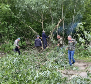 Расчистка центральной дороги от деревьев.
