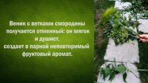 Что добавить в веник для бани?