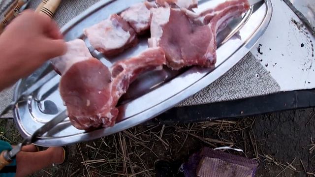 Катя Рыбалка?, Саша Need for Carp? - рыбалка с друзьями |Бешенный клёв в жару? | Глубокий Турунчук смотреть онлайн