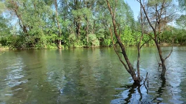 Будущее Голубых озер под Казанью: Закрыть их для туристов или благоустроить для отдыха? смотреть онлайн