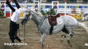Невероятные прыжки с лошадей, на лошадях, вместо лошадей!!!