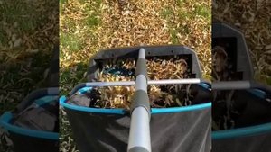 Как вам такое изобретение для уборки листьев