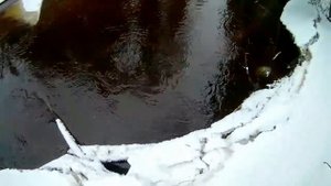 Охота на бобра зимой