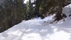 Кабина для снегохода