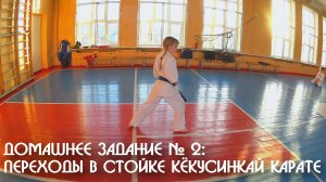 Домашнее задание № 2: Переходы в стойке Кёкусинкай Карате. ЦСП «Тэнгу Про» Мурманск