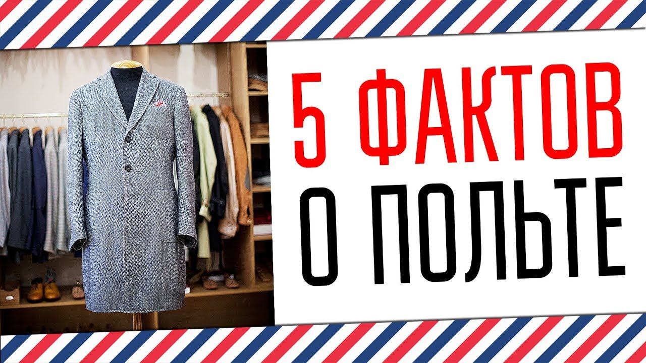 5 ФАКТОВ О ПОЛЬТЕ