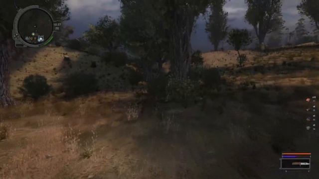 ОХОТА НА СВИРЕПОГО КАБАНА. STALKER ПУТЬ ВО МГЛЕ. #3 смотреть онлайн