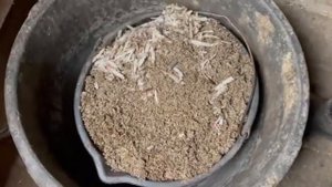 Кормление овец. Гранулированный жом