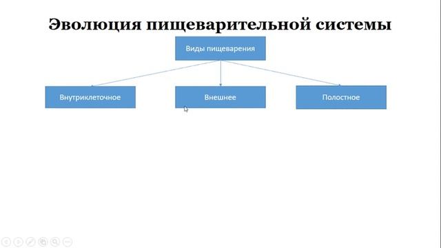 Урок №20 