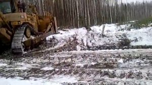 CAT D9R не может вырвать пень