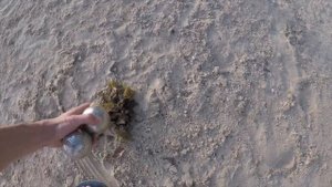 Mauritius 2017/18: Hotel Veranda Grand Baie