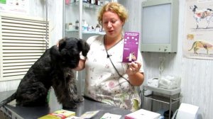 Блохи. Как обнаружить, вывести, сколько стоит?