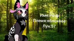 голоса моих персонажей по Котам воителям (5 часть)