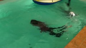 Water Fun Movies II/2015