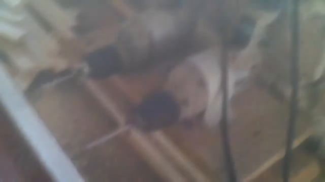 Станок для сверления рамок своими руками. смотреть онлайн