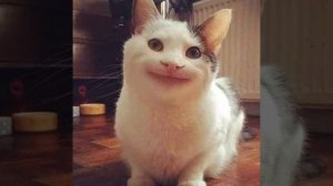 какая-то песня сика из doors roblox 1час