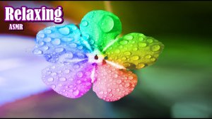 ДОЖДЬ С ГРОЗОЙ! Глубокое погружение в сон за 10 минут, под шум природы!