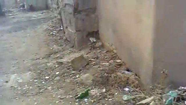 wkola 22 kurit.mp4 смотреть онлайн