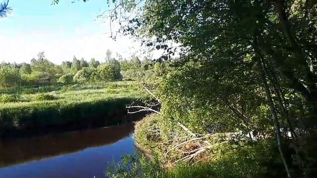 Блуждающии// в поисках рыбного места// часть 1 смотреть онлайн