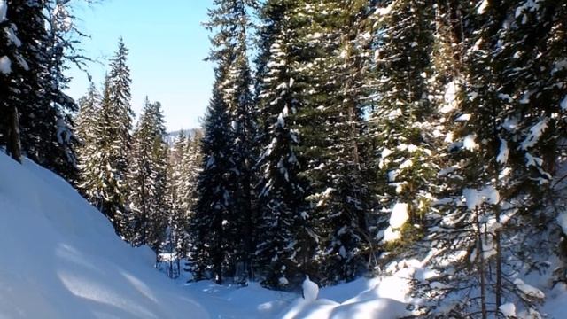 Зимняя сказка смотреть онлайн