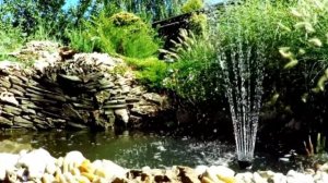 Модные цвета для ландшафтного дизайна в 2021 году