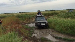 Land Cruiser Prado 78 и поля