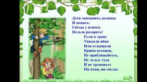 Правила безопасного поведения на природе для дошкольников