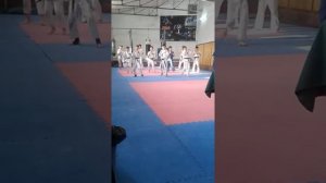 экзамен на тёмно синий пояс, по полноконтактному каратэ - до