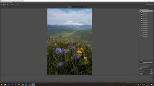 Как добиться максимальной глубины резкости!