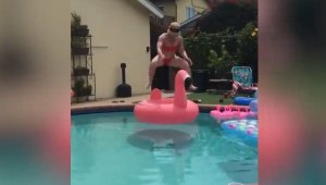 Смешные приколы #28